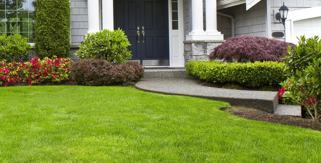 landscaping services